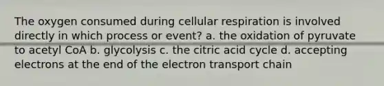 The oxygen consumed during <a href='https://www.questionai.com/knowledge/k1IqNYBAJw-cellular-respiration' class='anchor-knowledge'>cellular respiration</a> is involved directly in which process or event? a. the oxidation of pyruvate to acetyl CoA b. glycolysis c. the citric acid cycle d. accepting electrons at the end of <a href='https://www.questionai.com/knowledge/k57oGBr0HP-the-electron-transport-chain' class='anchor-knowledge'>the electron transport chain</a>