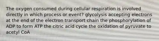 The oxygen consumed during cellular respiration is involved directly in which process or event? glycolysis accepting electrons at the end of the electron transport chain the phosphorylation of ADP to form ATP the citric acid cycle the oxidation of pyruvate to acetyl CoA