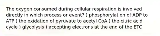 The oxygen consumed during cellular respiration is involved directly in which process or event? ) phosphorylation of ADP to ATP ) the oxidation of pyruvate to acetyl CoA ) the citric acid cycle ) glycolysis ) accepting electrons at the end of the ETC