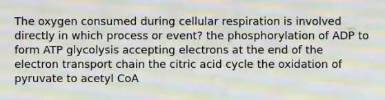 The oxygen consumed during cellular respiration is involved directly in which process or event? the phosphorylation of ADP to form ATP glycolysis accepting electrons at the end of the electron transport chain the citric acid cycle the oxidation of pyruvate to acetyl CoA