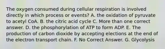 The oxygen consumed during cellular respiration is involved directly in which process or events? A. the oxidation of pyruvate to acetyl CoA. B. the citric acid cycle C. More than one correct answer. D. the phosphorylation of ATP to form ADP. E. The production of carbon dioxide by accepting elections at the end of the electron transport chain. F. No Correct Answer. G. Glycolysis