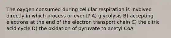 The oxygen consumed during <a href='https://www.questionai.com/knowledge/k1IqNYBAJw-cellular-respiration' class='anchor-knowledge'>cellular respiration</a> is involved directly in which process or event? A) glycolysis B) accepting electrons at the end of <a href='https://www.questionai.com/knowledge/k57oGBr0HP-the-electron-transport-chain' class='anchor-knowledge'>the electron transport chain</a> C) the citric acid cycle D) the oxidation of pyruvate to acetyl CoA