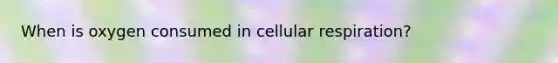 When is oxygen consumed in cellular respiration?