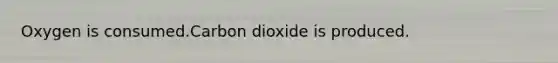 Oxygen is consumed.Carbon dioxide is produced.