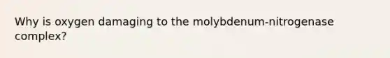 Why is oxygen damaging to the molybdenum-nitrogenase complex?