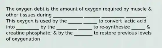 The oxygen debt is the amount of oxygen required by muscle & other tissues during _____________ _______ __________ _________. This oxygen is used by the ______ ______ to convert lactic acid into __________ by the _________ ______ to re-synthesize ______ & creatine phosphate; & by the ________ to restore previous levels of oxygenation