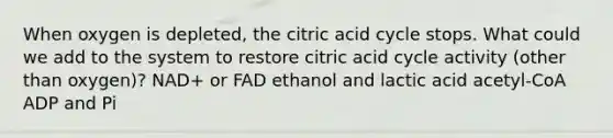 When oxygen is depleted, the citric acid cycle stops. What could we add to the system to restore citric acid cycle activity (other than oxygen)? NAD+ or FAD ethanol and lactic acid acetyl‐CoA ADP and Pi