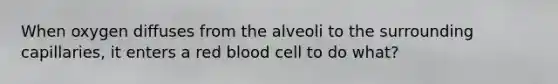 When oxygen diffuses from the alveoli to the surrounding capillaries, it enters a red blood cell to do what?