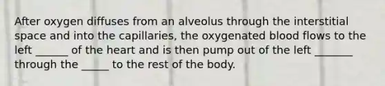 After oxygen diffuses from an alveolus through the interstitial space and into the capillaries, the oxygenated blood flows to the left ______ of the heart and is then pump out of the left _______ through the _____ to the rest of the body.