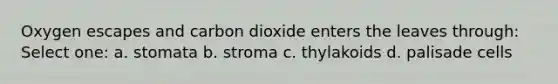 Oxygen escapes and carbon dioxide enters the leaves through: Select one: a. stomata b. stroma c. thylakoids d. palisade cells