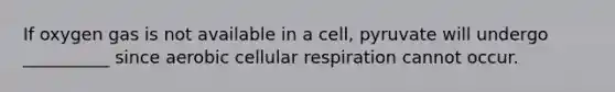 If oxygen gas is not available in a cell, pyruvate will undergo __________ since aerobic <a href='https://www.questionai.com/knowledge/k1IqNYBAJw-cellular-respiration' class='anchor-knowledge'>cellular respiration</a> cannot occur.