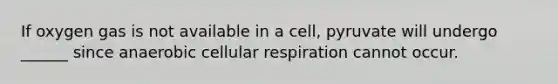 If oxygen gas is not available in a cell, pyruvate will undergo ______ since anaerobic <a href='https://www.questionai.com/knowledge/k1IqNYBAJw-cellular-respiration' class='anchor-knowledge'>cellular respiration</a> cannot occur.