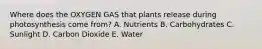 Where does the OXYGEN GAS that plants release during photosynthesis come from? A. Nutrients B. Carbohydrates C. Sunlight D. Carbon Dioxide E. Water