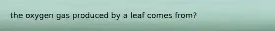 the oxygen gas produced by a leaf comes from?