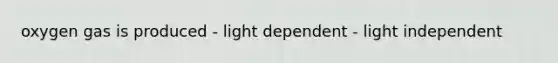 oxygen gas is produced - light dependent - light independent