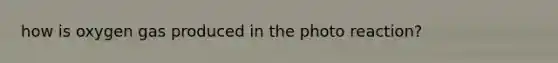 how is oxygen gas produced in the photo reaction?