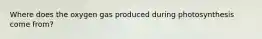 Where does the oxygen gas produced during photosynthesis come from?