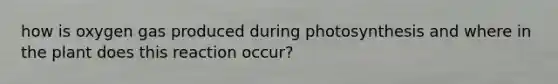 how is oxygen gas produced during photosynthesis and where in the plant does this reaction occur?