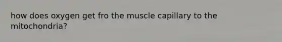 how does oxygen get fro the muscle capillary to the mitochondria?