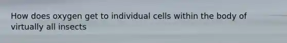 How does oxygen get to individual cells within the body of virtually all insects