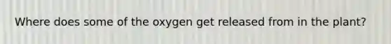 Where does some of the oxygen get released from in the plant?