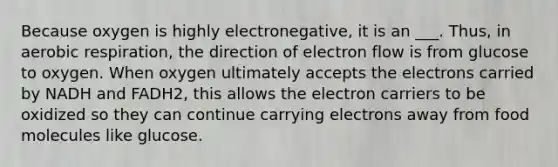 Because oxygen is highly electronegative, it is an ___. Thus, in aerobic respiration, the direction of electron flow is from glucose to oxygen. When oxygen ultimately accepts the electrons carried by NADH and FADH2, this allows the electron carriers to be oxidized so they can continue carrying electrons away from food molecules like glucose.