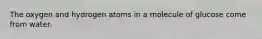 The oxygen and hydrogen atoms in a molecule of glucose come from water.