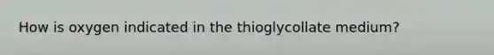 How is oxygen indicated in the thioglycollate medium?