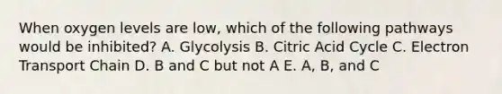 When oxygen levels are low, which of the following pathways would be inhibited? A. Glycolysis B. Citric Acid Cycle C. Electron Transport Chain D. B and C but not A E. A, B, and C