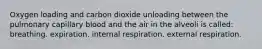 Oxygen loading and carbon dioxide unloading between the pulmonary capillary blood and the air in the alveoli is called: breathing. expiration. internal respiration. external respiration.