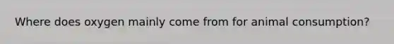 Where does oxygen mainly come from for animal consumption?