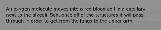 An oxygen molecule moves into a red blood cell in a capillary next to the alveoli. Sequence all of the structures it will pass through in order to get from the lungs to the upper arm.