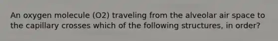 An oxygen molecule (O2) traveling from the alveolar air space to the capillary crosses which of the following structures, in order?