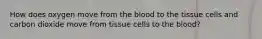 How does oxygen move from the blood to the tissue cells and carbon dioxide move from tissue cells to the blood?