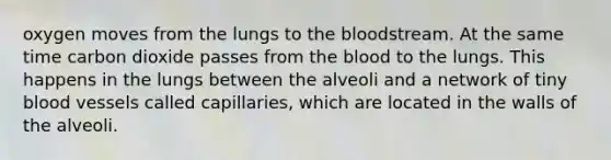 oxygen moves from the lungs to <a href='https://www.questionai.com/knowledge/k7oXMfj7lk-the-blood' class='anchor-knowledge'>the blood</a>stream. At the same time carbon dioxide passes from the blood to the lungs. This happens in the lungs between the alveoli and a network of tiny <a href='https://www.questionai.com/knowledge/kZJ3mNKN7P-blood-vessels' class='anchor-knowledge'>blood vessels</a> called capillaries, which are located in the walls of the alveoli.