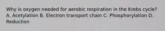 Why is oxygen needed for aerobic respiration in the Krebs cycle? A. Acetylation B. Electron transport chain C. Phosphorylation D. Reduction