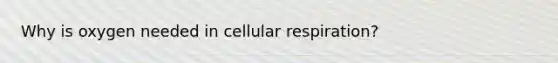 Why is oxygen needed in <a href='https://www.questionai.com/knowledge/k1IqNYBAJw-cellular-respiration' class='anchor-knowledge'>cellular respiration</a>?