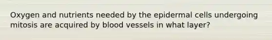 Oxygen and nutrients needed by the epidermal cells undergoing mitosis are acquired by blood vessels in what layer?