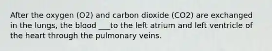 After the oxygen (O2) and carbon dioxide (CO2) are exchanged in the lungs, the blood ___to the left atrium and left ventricle of the heart through the pulmonary veins.