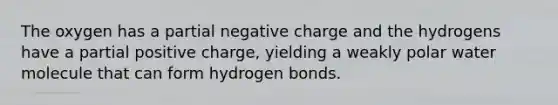 The oxygen has a partial negative charge and the hydrogens have a partial positive charge, yielding a weakly polar water molecule that can form hydrogen bonds.