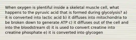 When oxygen is plentiful inside a skeletal muscle cell, what happens to the pyruvic acid that is formed during glycolysis? a) it is converted into lactic acid b) it diffuses into mitochondria to be broken down to generate ATP c) it diffuses out of the cell and into the bloodstream d) it is used to convert creatine into creatine phosphate e) it is converted into glycogen