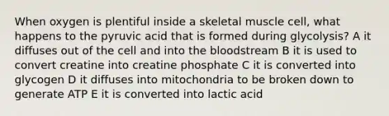 When oxygen is plentiful inside a skeletal muscle cell, what happens to the pyruvic acid that is formed during glycolysis? A it diffuses out of the cell and into the bloodstream B it is used to convert creatine into creatine phosphate C it is converted into glycogen D it diffuses into mitochondria to be broken down to generate ATP E it is converted into lactic acid