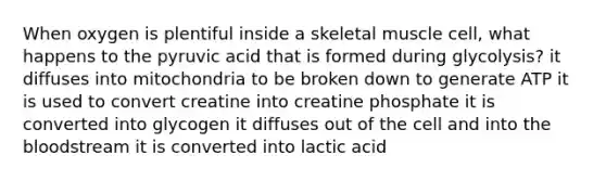 When oxygen is plentiful inside a skeletal muscle cell, what happens to the pyruvic acid that is formed during glycolysis? it diffuses into mitochondria to be broken down to generate ATP it is used to convert creatine into creatine phosphate it is converted into glycogen it diffuses out of the cell and into the bloodstream it is converted into lactic acid