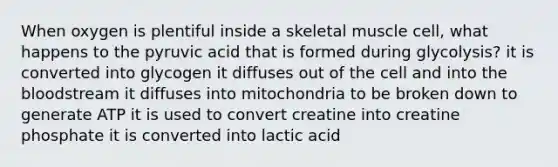 When oxygen is plentiful inside a skeletal muscle cell, what happens to the pyruvic acid that is formed during glycolysis? it is converted into glycogen it diffuses out of the cell and into the bloodstream it diffuses into mitochondria to be broken down to generate ATP it is used to convert creatine into creatine phosphate it is converted into lactic acid