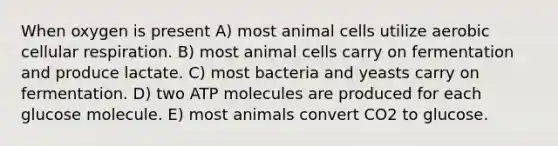 When oxygen is present A) most animal cells utilize aerobic cellular respiration. B) most animal cells carry on fermentation and produce lactate. C) most bacteria and yeasts carry on fermentation. D) two ATP molecules are produced for each glucose molecule. E) most animals convert CO2 to glucose.