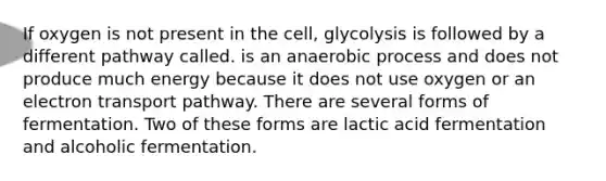 If oxygen is not present in the cell, glycolysis is followed by a different pathway called. is an anaerobic process and does not produce much energy because it does not use oxygen or an electron transport pathway. There are several forms of fermentation. Two of these forms are lactic acid fermentation and alcoholic fermentation.