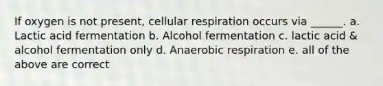 If oxygen is not present, cellular respiration occurs via ______. a. Lactic acid fermentation b. Alcohol fermentation c. lactic acid & alcohol fermentation only d. Anaerobic respiration e. all of the above are correct