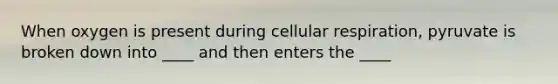 When oxygen is present during cellular respiration, pyruvate is broken down into ____ and then enters the ____