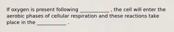 If oxygen is present following ____________ , the cell will enter the aerobic phases of cellular respiration and these reactions take place in the ____________ .