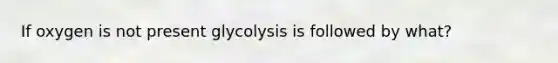 If oxygen is not present glycolysis is followed by what?